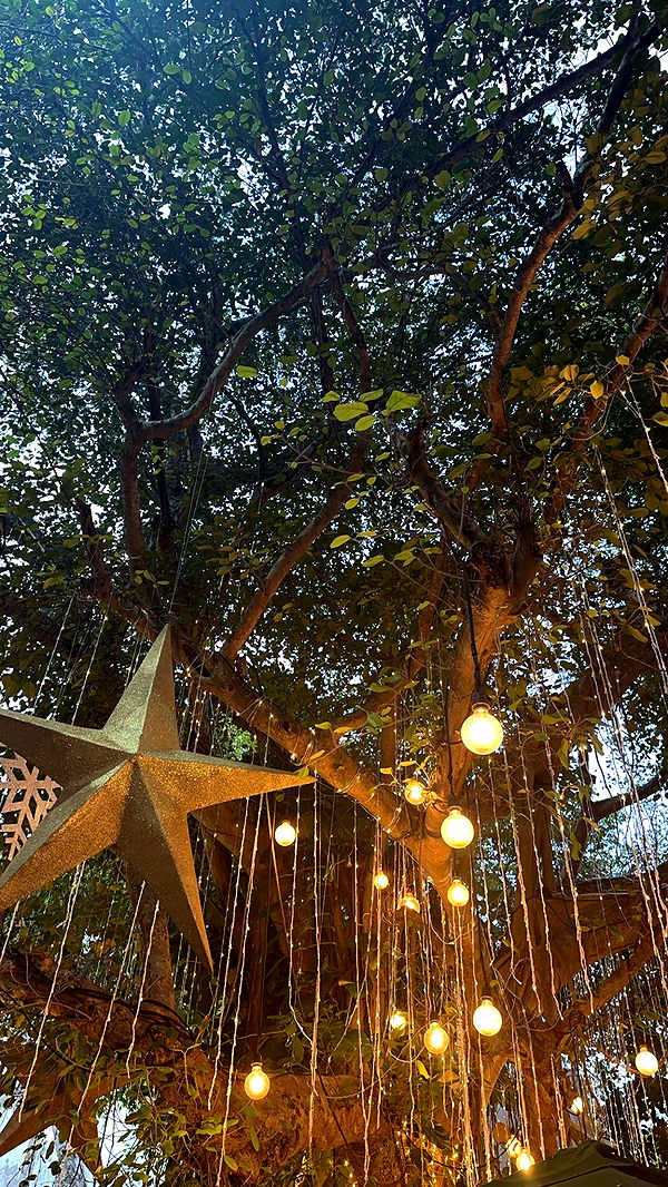 nadia-stone image ~ Altpins