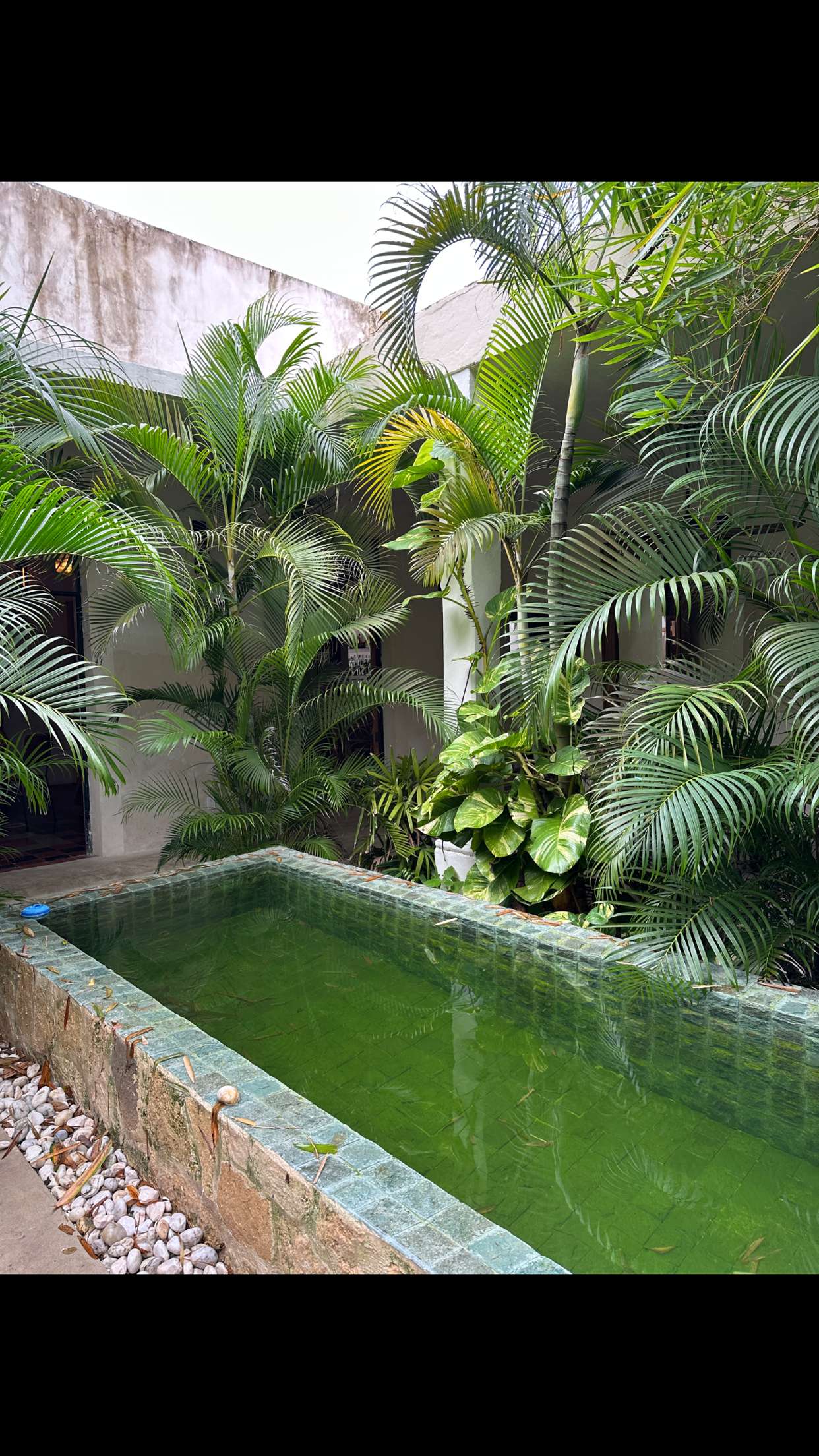 nadia-stone snapchat image archive image