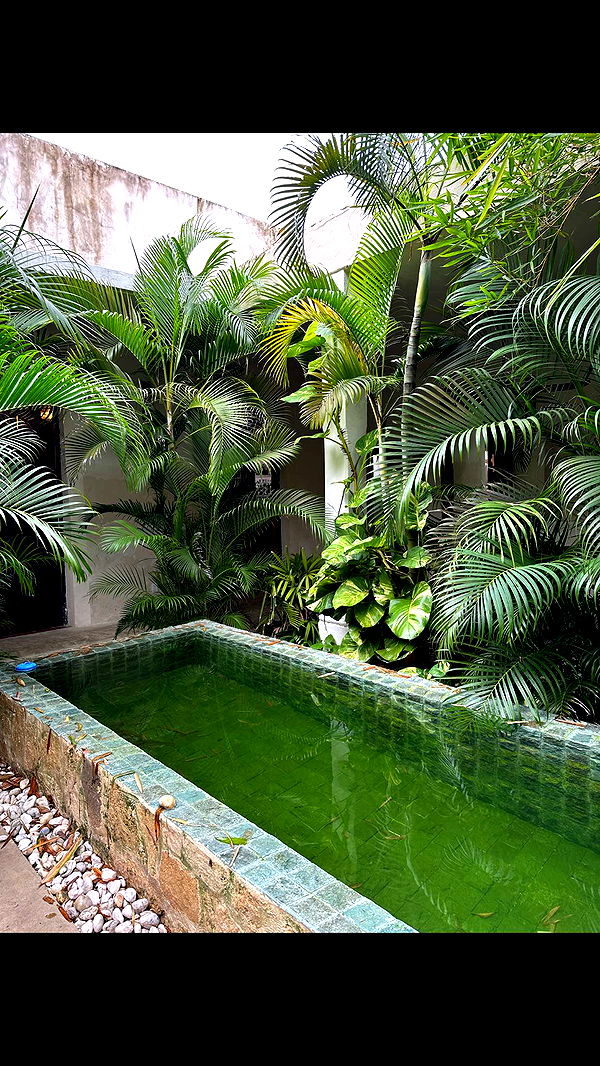 nadia-stone image ~ Altpins