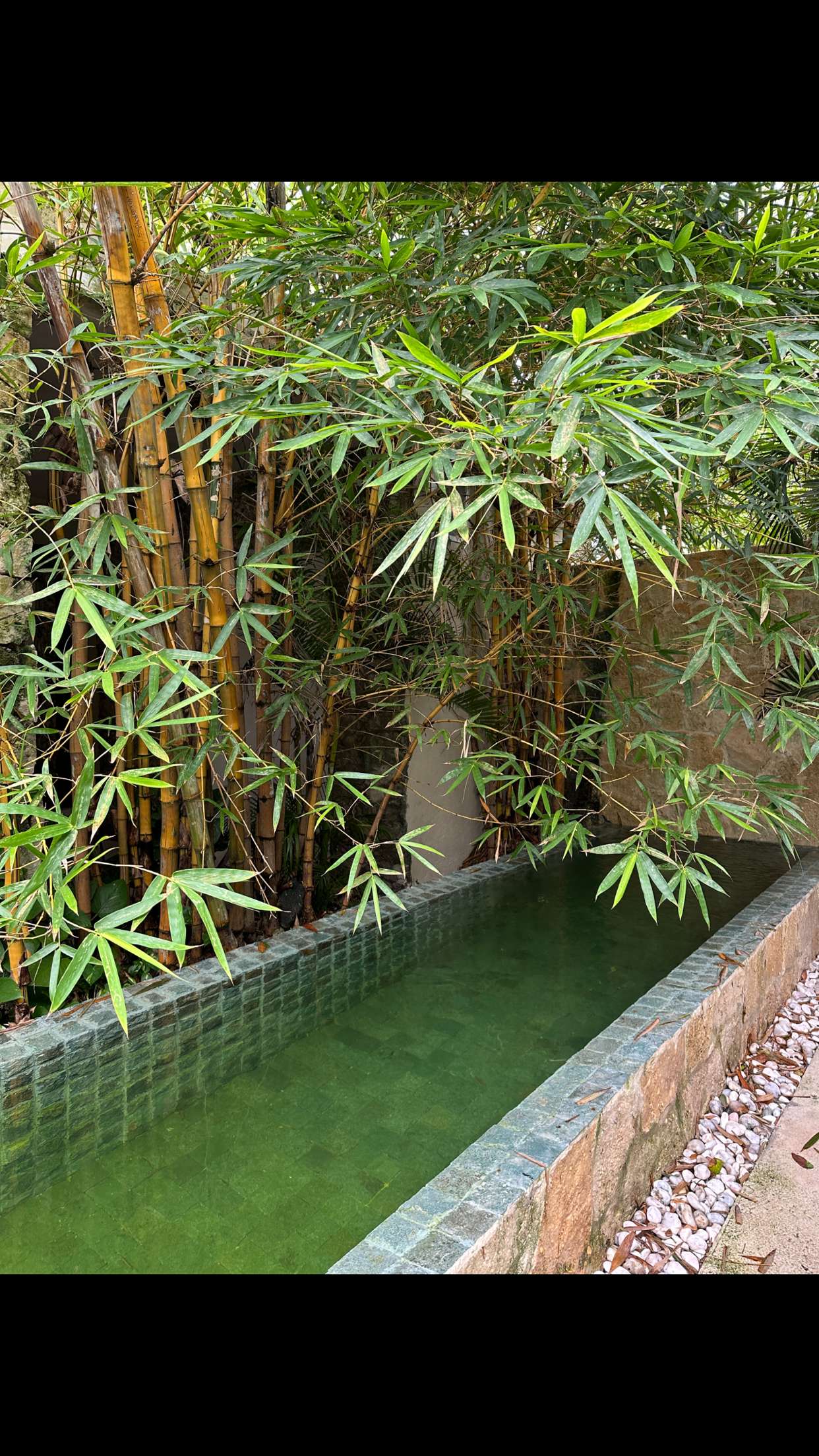 nadia-stone snapchat image archive image