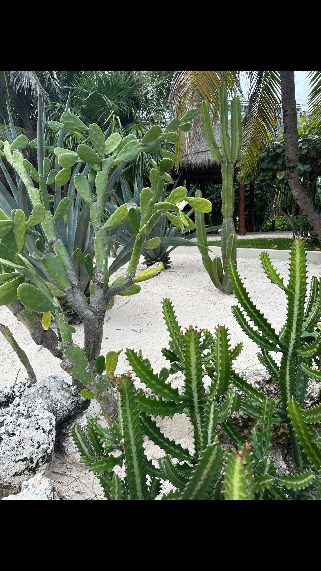 nadia-stone snapchat image archive image