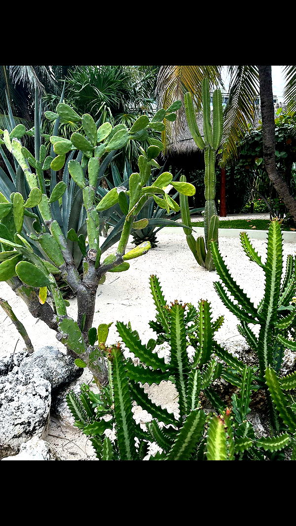 nadia-stone image ~ Altpins