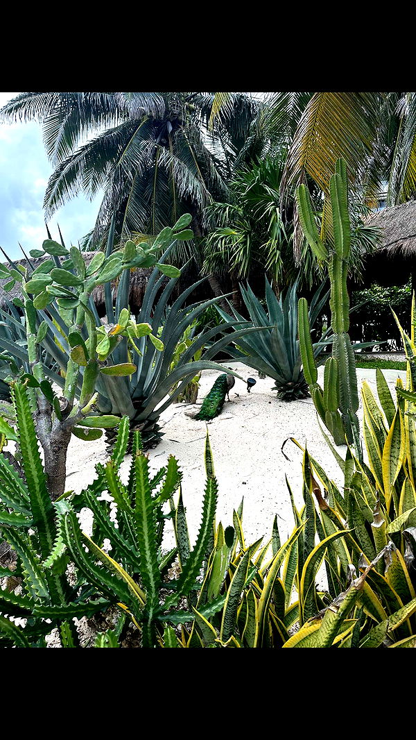 nadia-stone image ~ Altpins