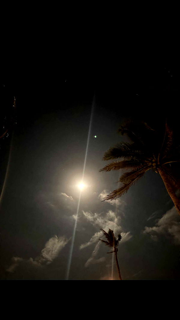 nadia-stone image ~ Altpins