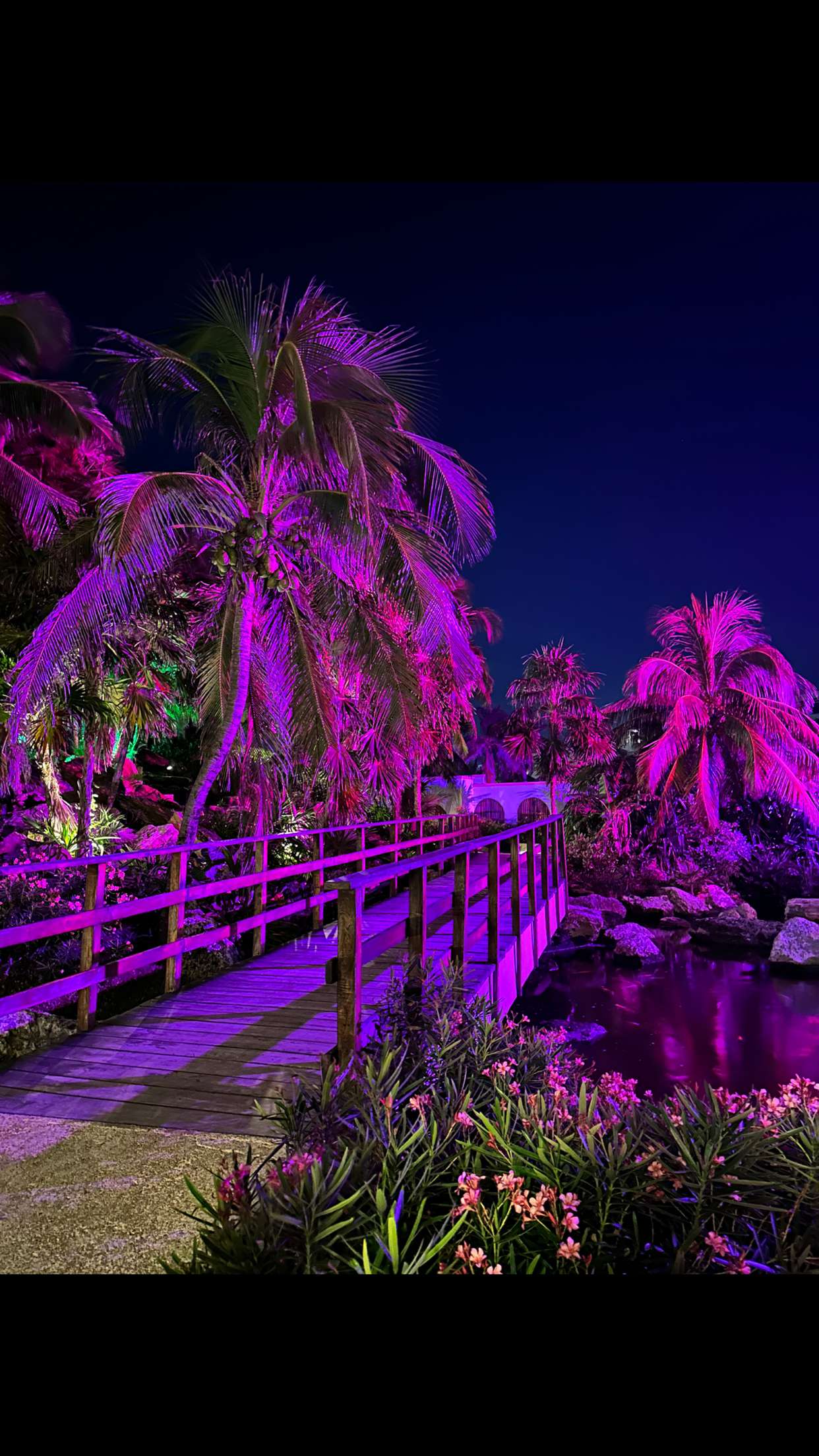 nadia-stone snapchat image archive image