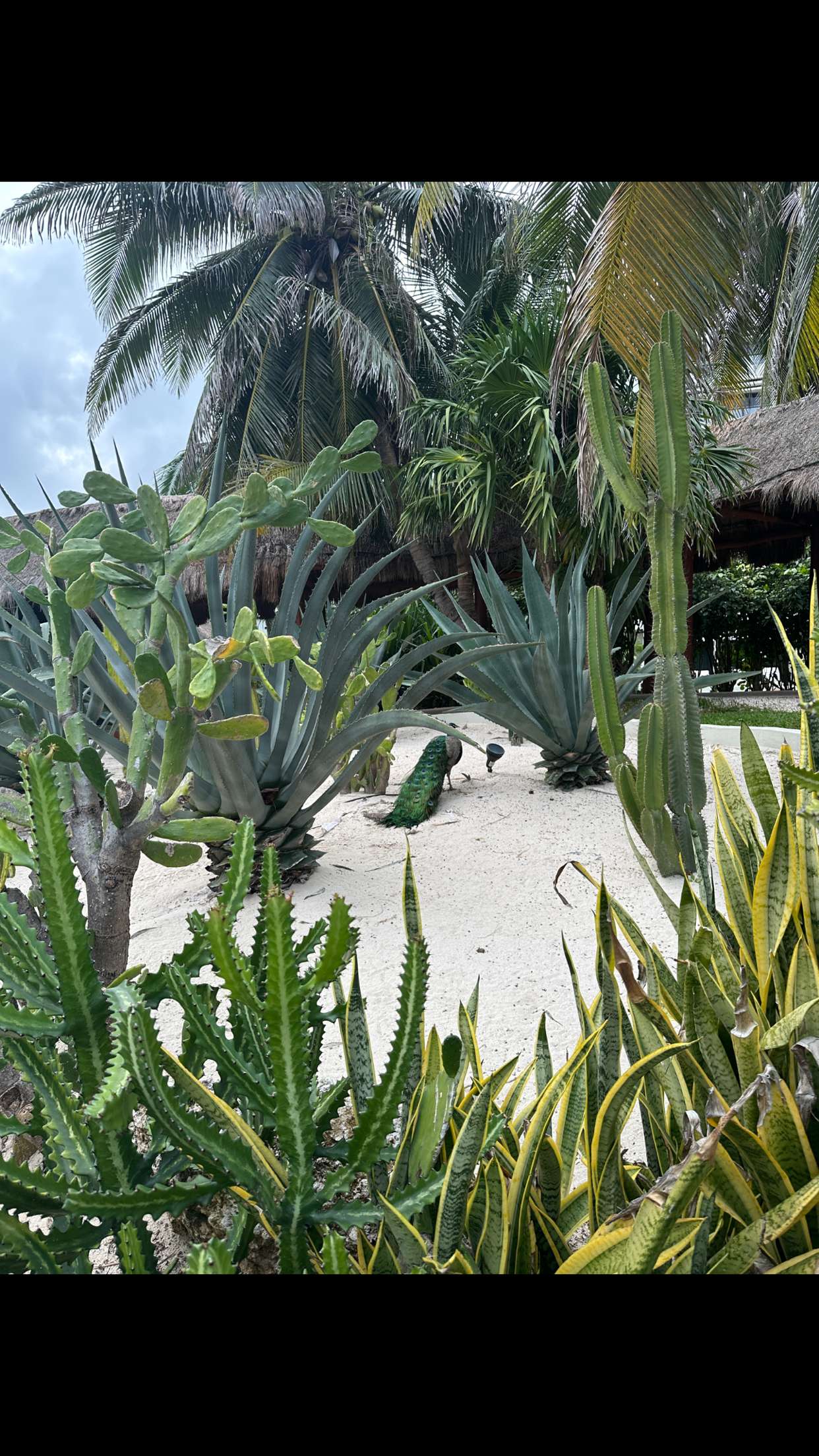 nadia-stone snapchat image archive image