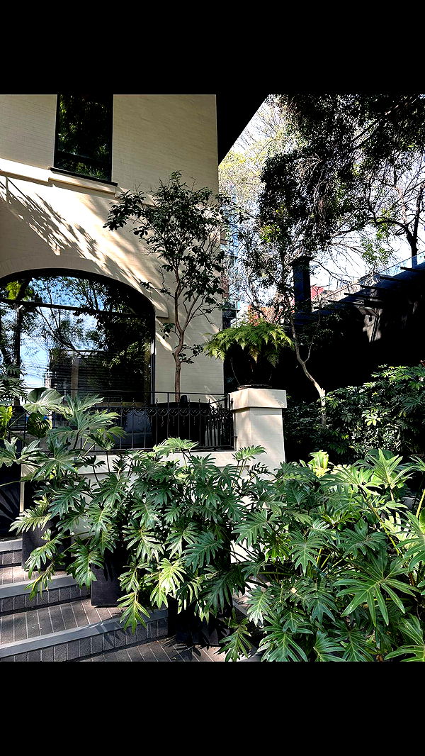 nadia-stone image ~ Altpins