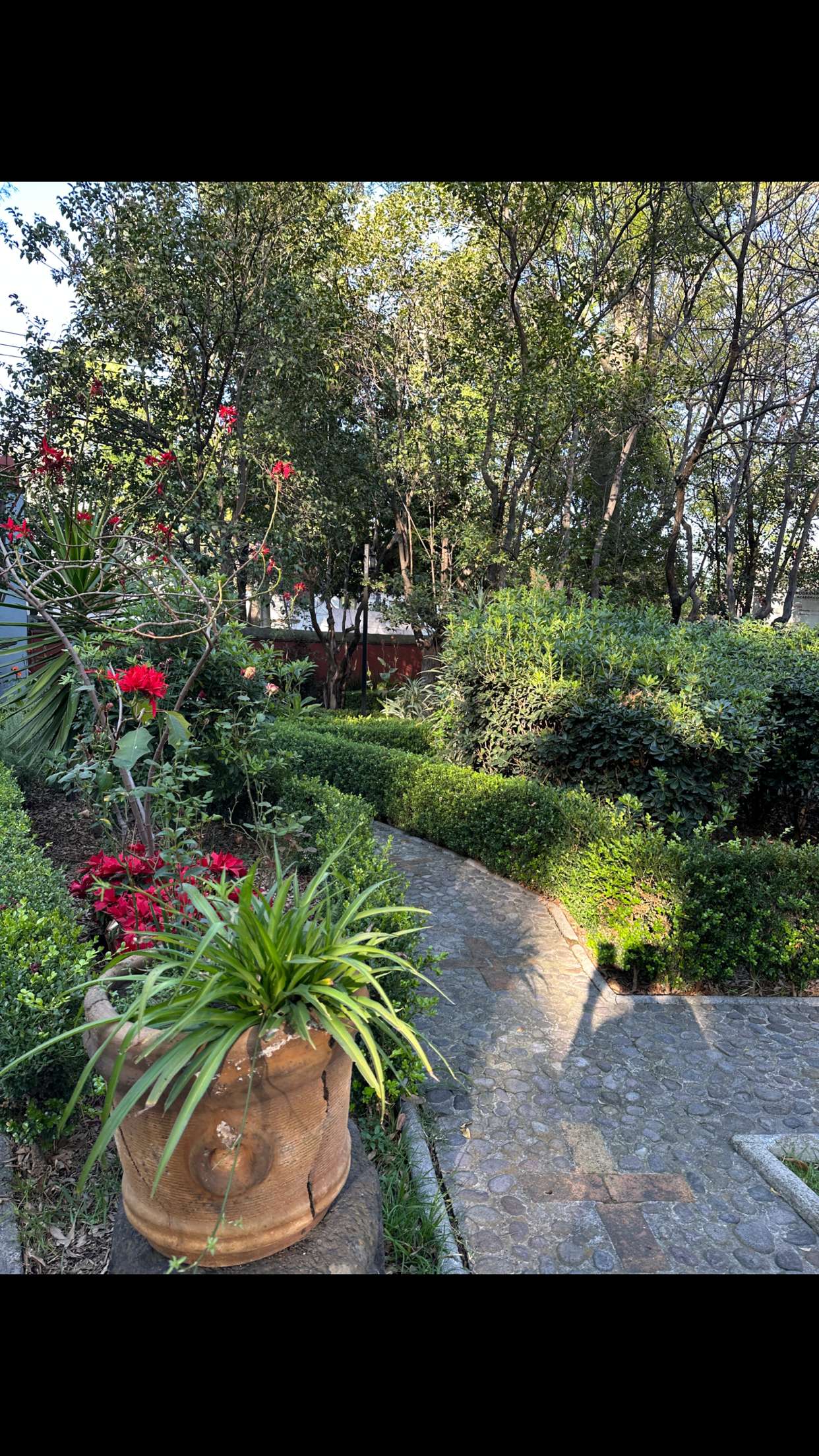 nadia-stone snapchat image archive image