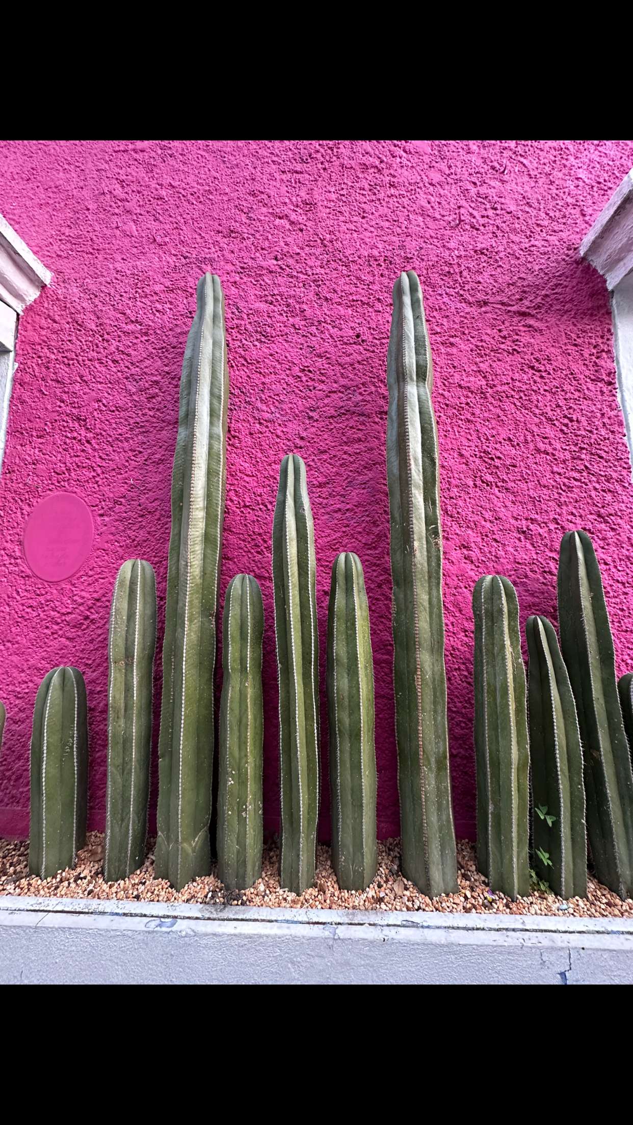 nadia-stone snapchat image archive image