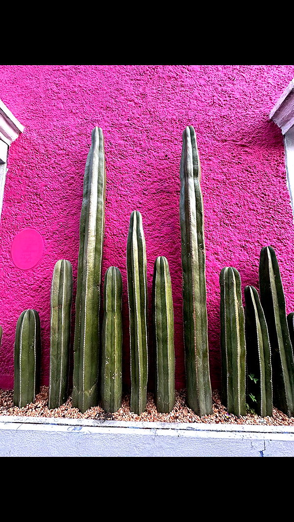 nadia-stone image ~ Altpins