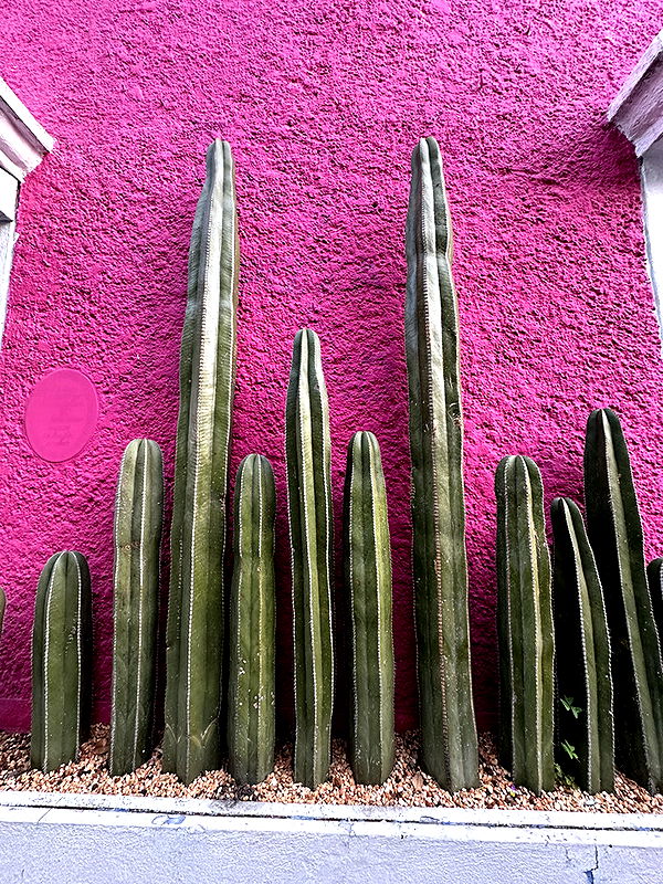 nadia-stone image ~ Altpins