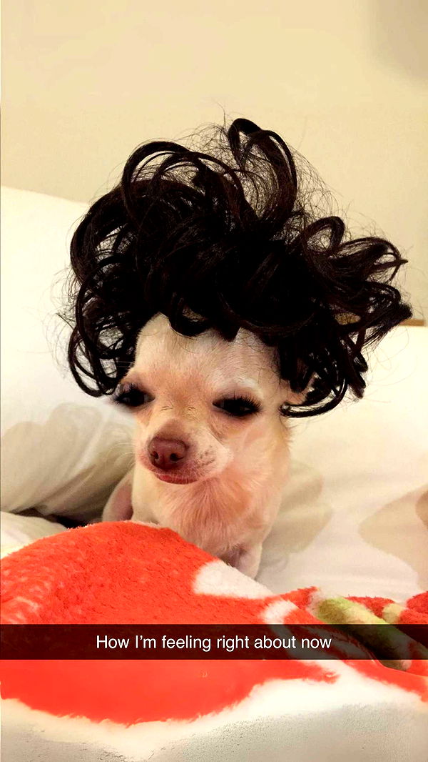 nadia-stone image ~ Altpins