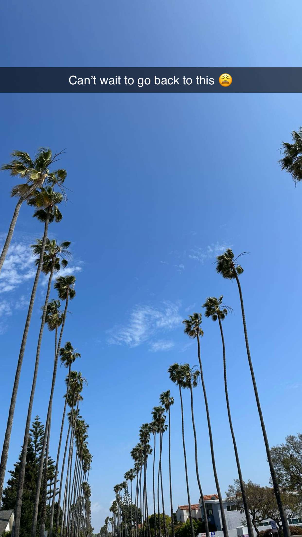 nadia-stone snapchat image archive image