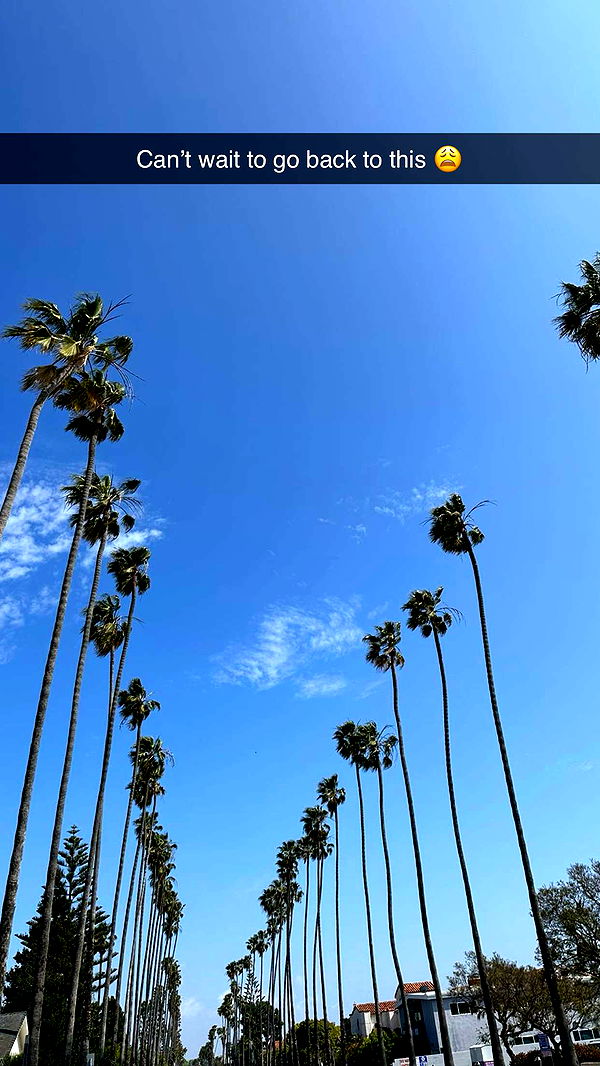 nadia-stone image ~ Altpins