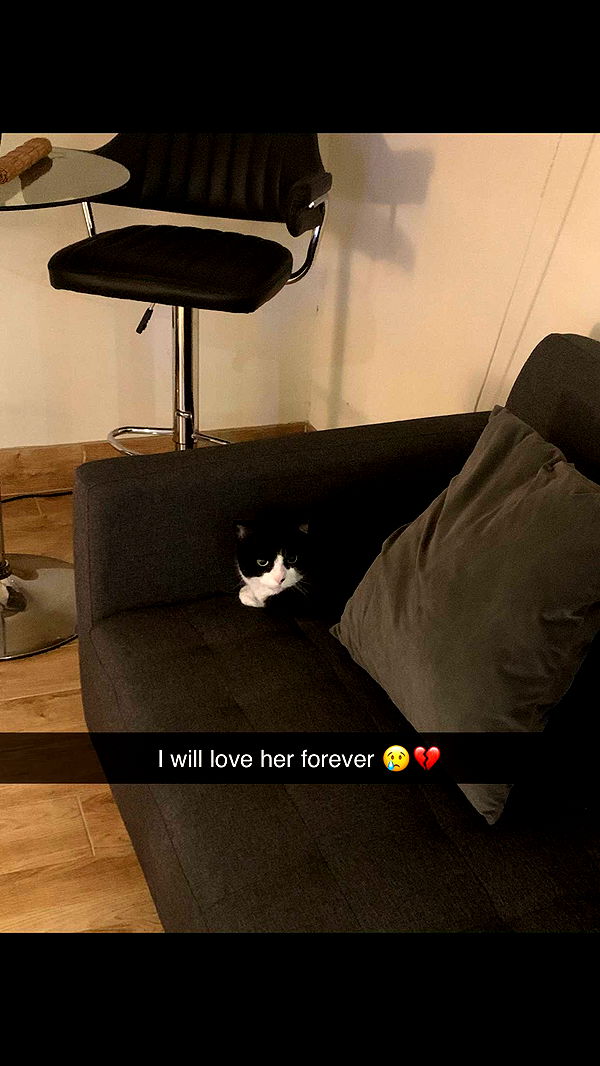 nadia-stone image ~ Altpins