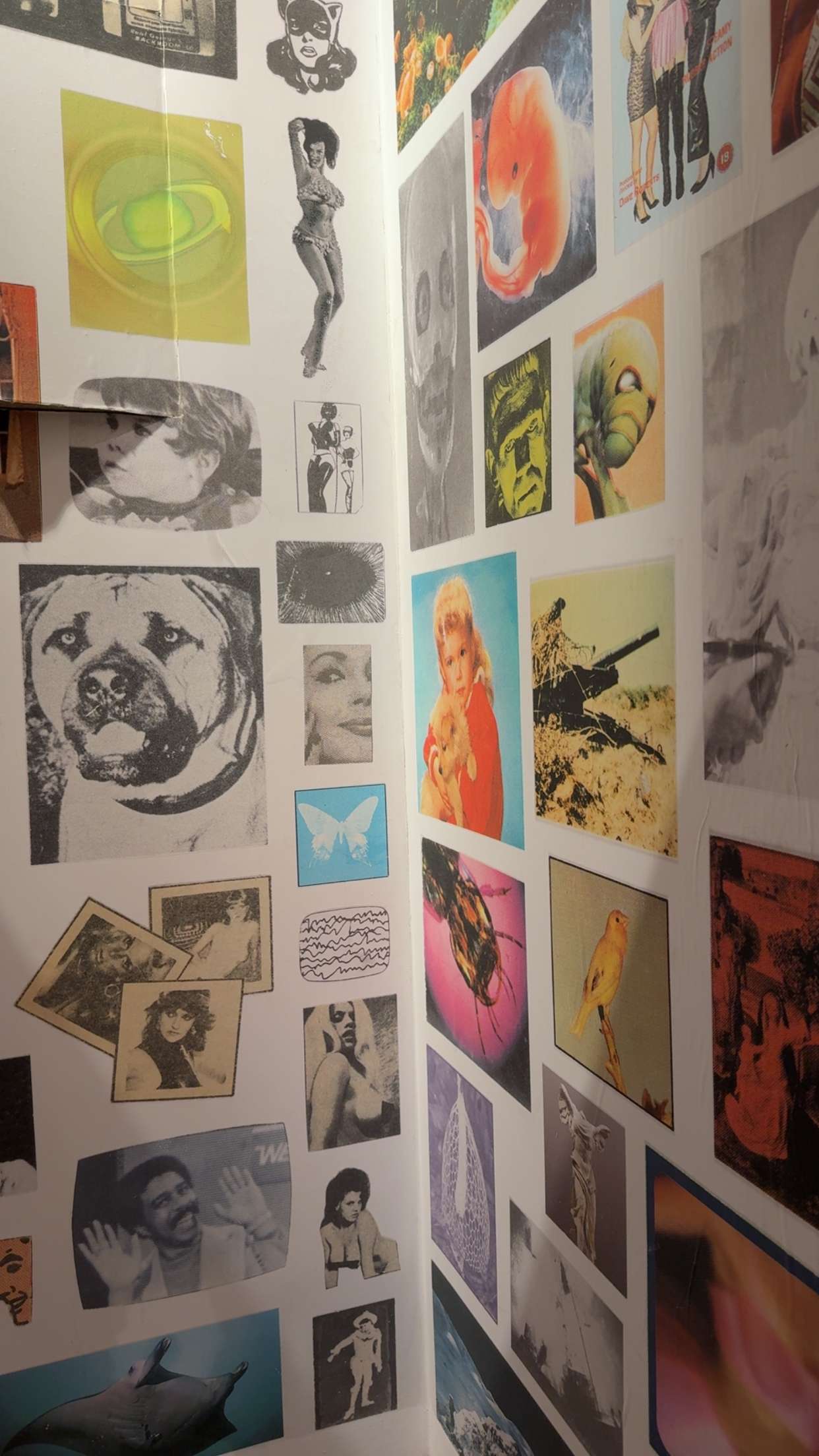 nadia-stone snapchat image archive image