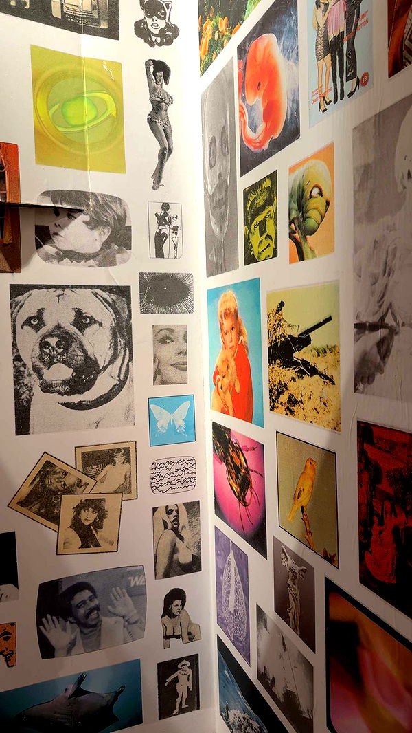 nadia-stone image ~ Altpins