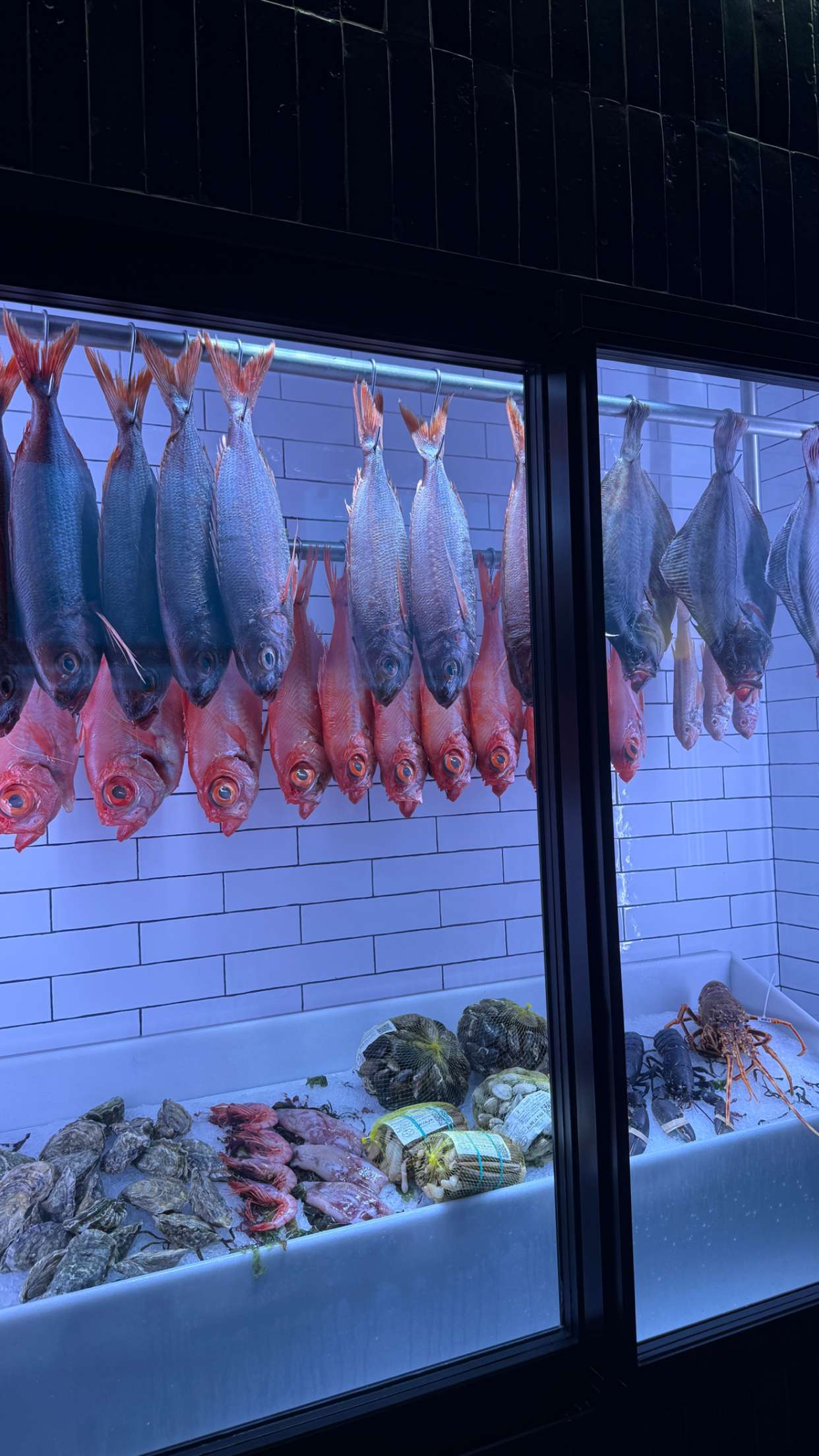 nadia-stone snapchat image archive image