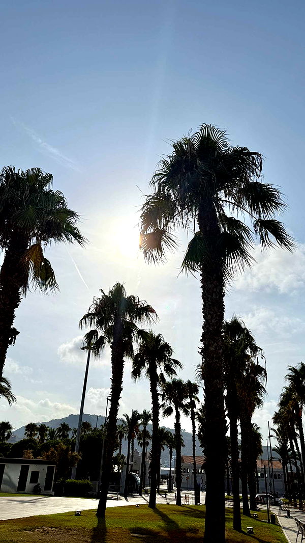 nadia-stone image ~ Altpins