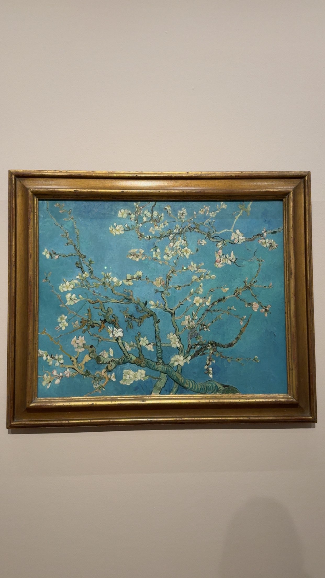 nadia-stone snapchat image archive image