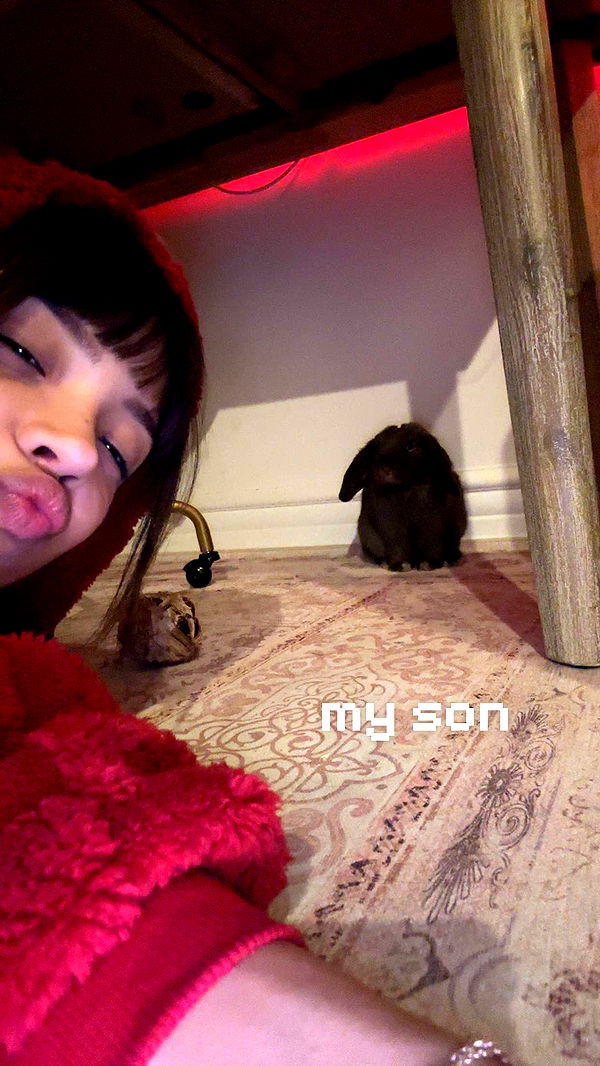 neiima22 image ~ Altpins