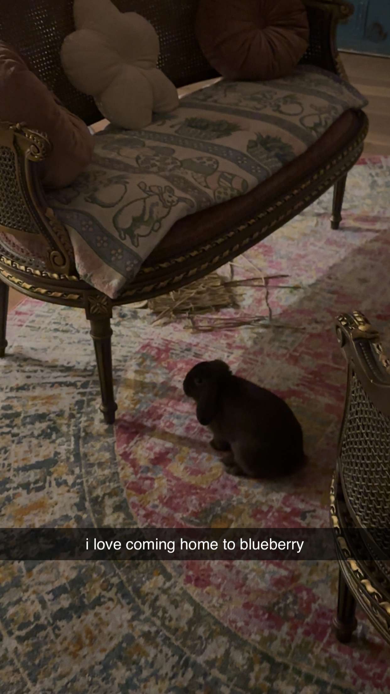 neiima22 snapchat image archive image