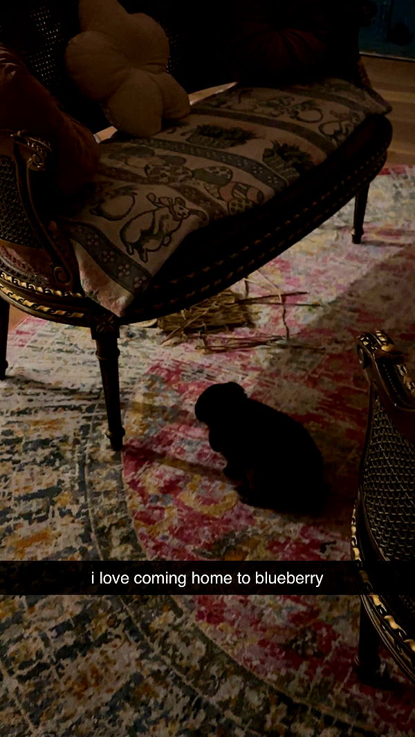 neiima22 image ~ Altpins