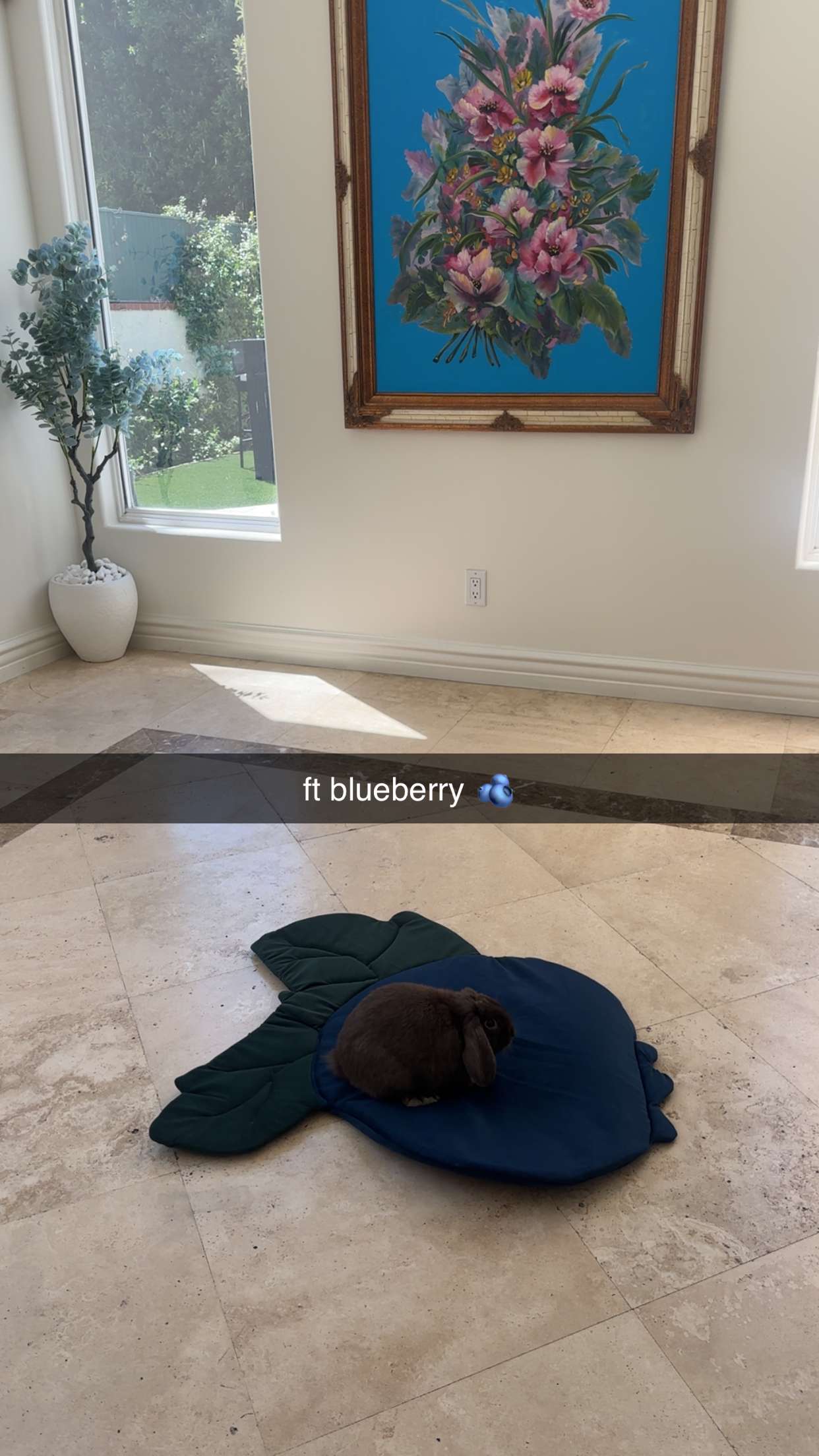 neiima22 snapchat image archive image