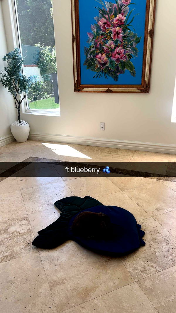 neiima22 image ~ Altpins