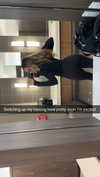 neuaurafitness Altpins Profile Picture