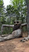 neuaurafitness Altpins Profile Picture