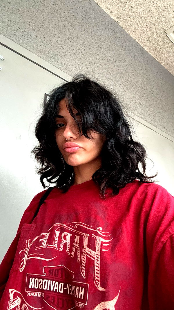 noordabash image ~ Altpins