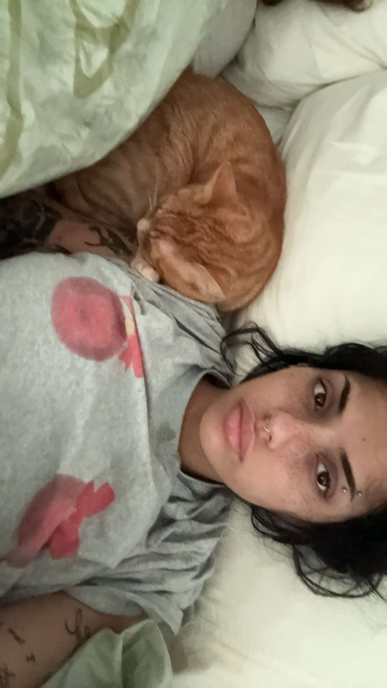 noordabash snapchat image archive image