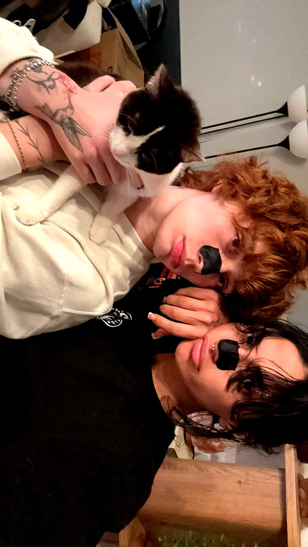 noordabash image ~ Altpins