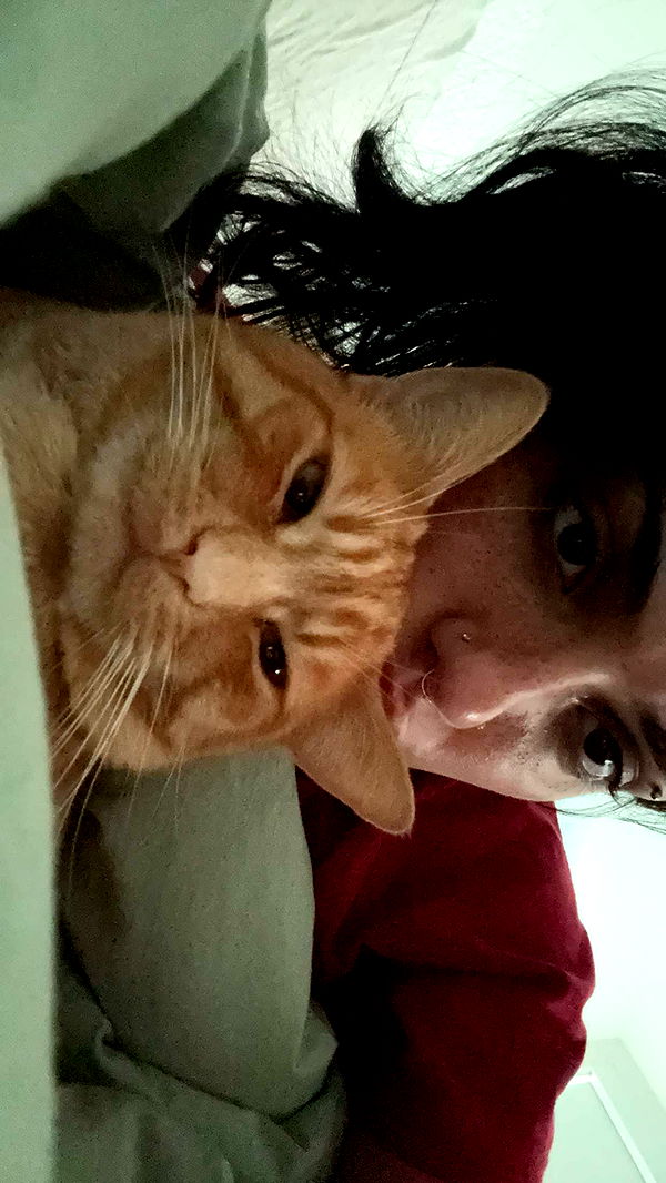 noordabash image ~ Altpins