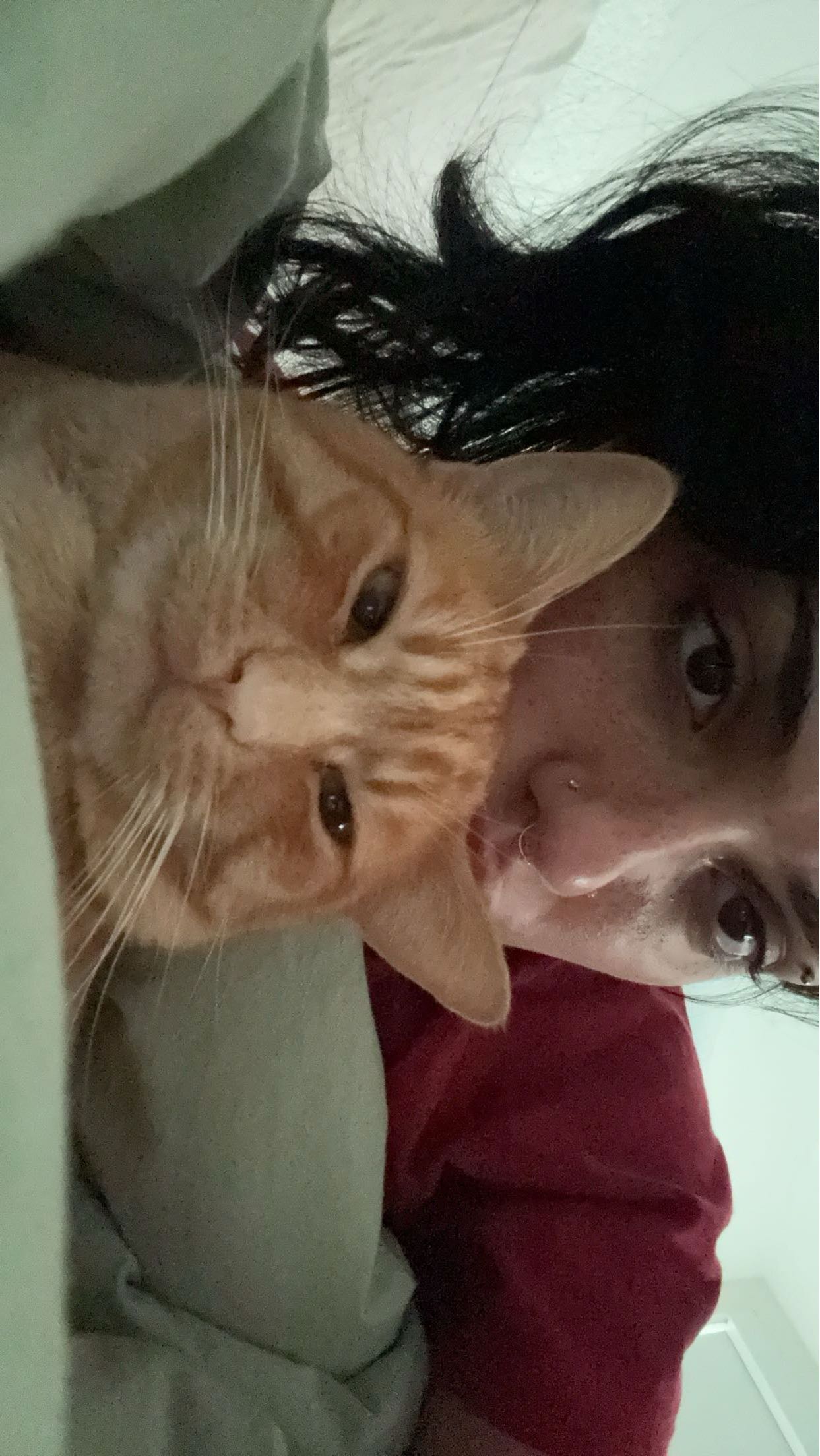 noordabash snapchat image archive image