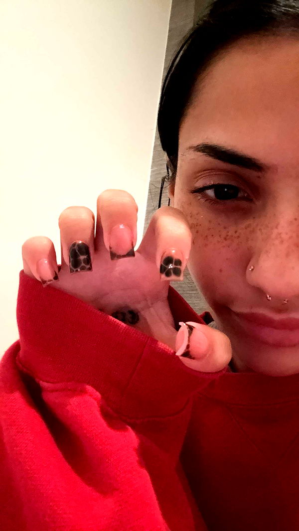 noordabash image ~ Altpins