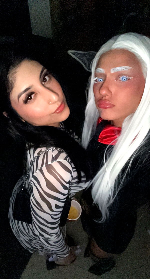 noordabash image ~ Altpins