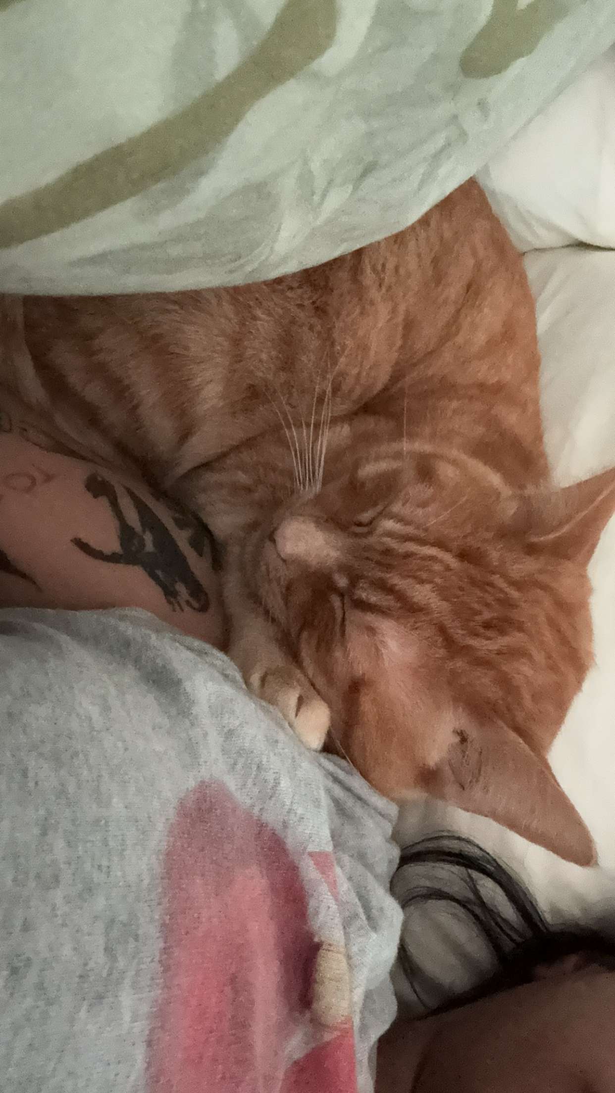 noordabash snapchat image archive image