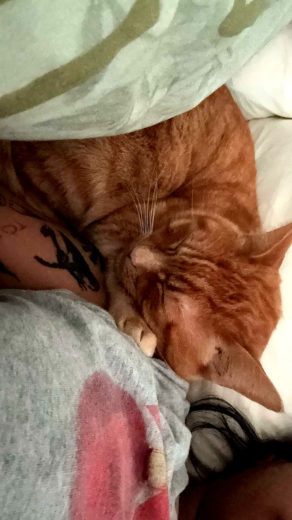 noordabash image ~ Altpins