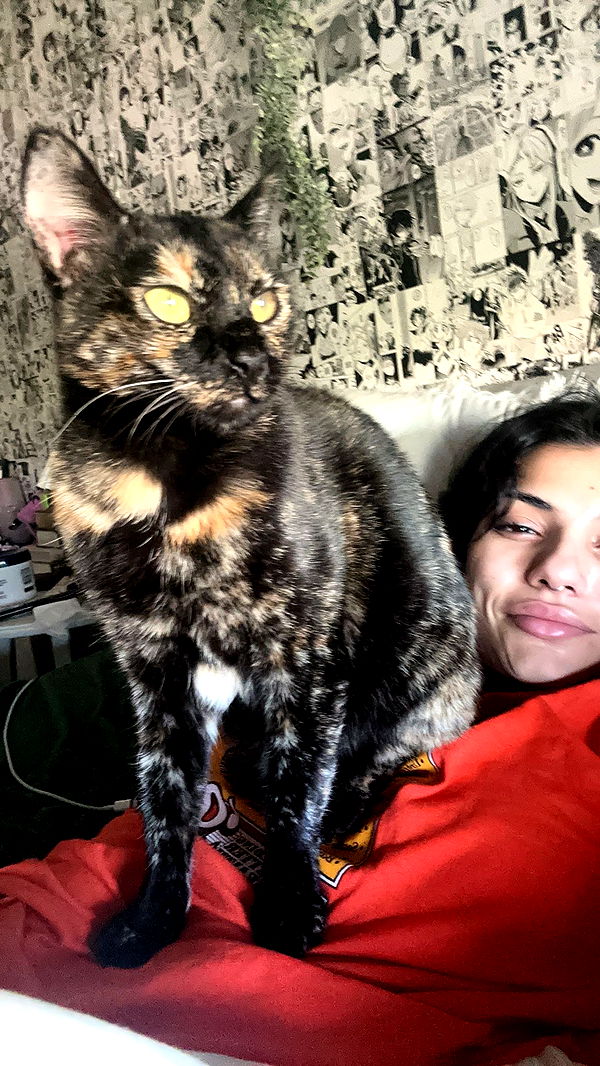 noordabash image ~ Altpins