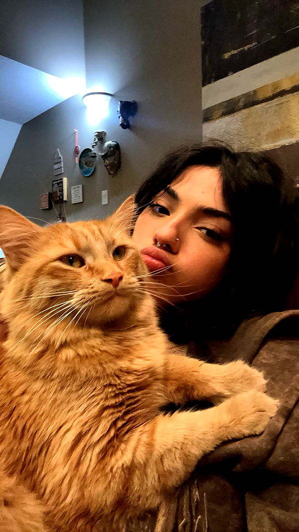 noordabash image ~ Altpins