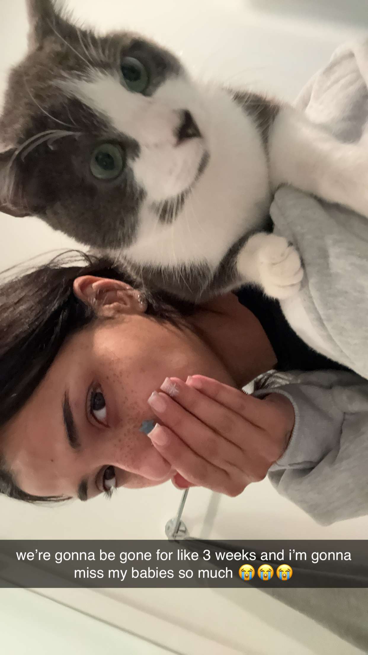 noordabash snapchat image archive image