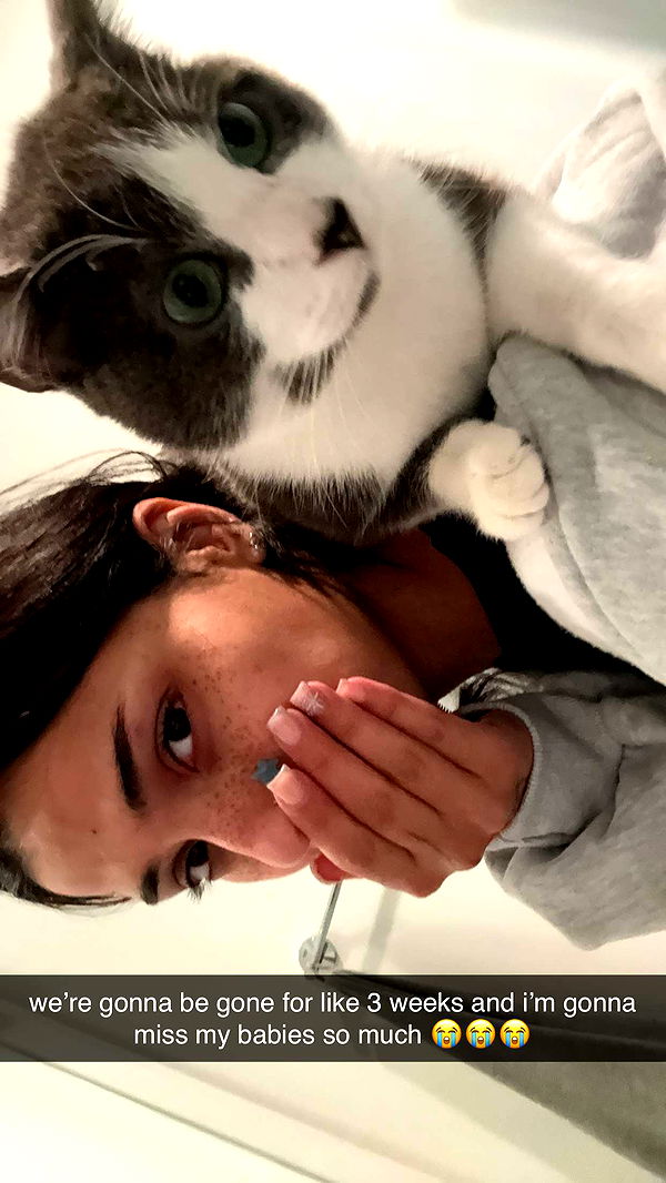 noordabash image ~ Altpins