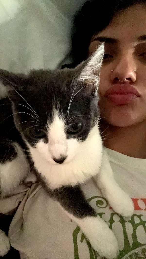 noordabash image ~ Altpins