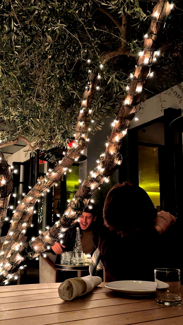 noordabash image ~ Altpins