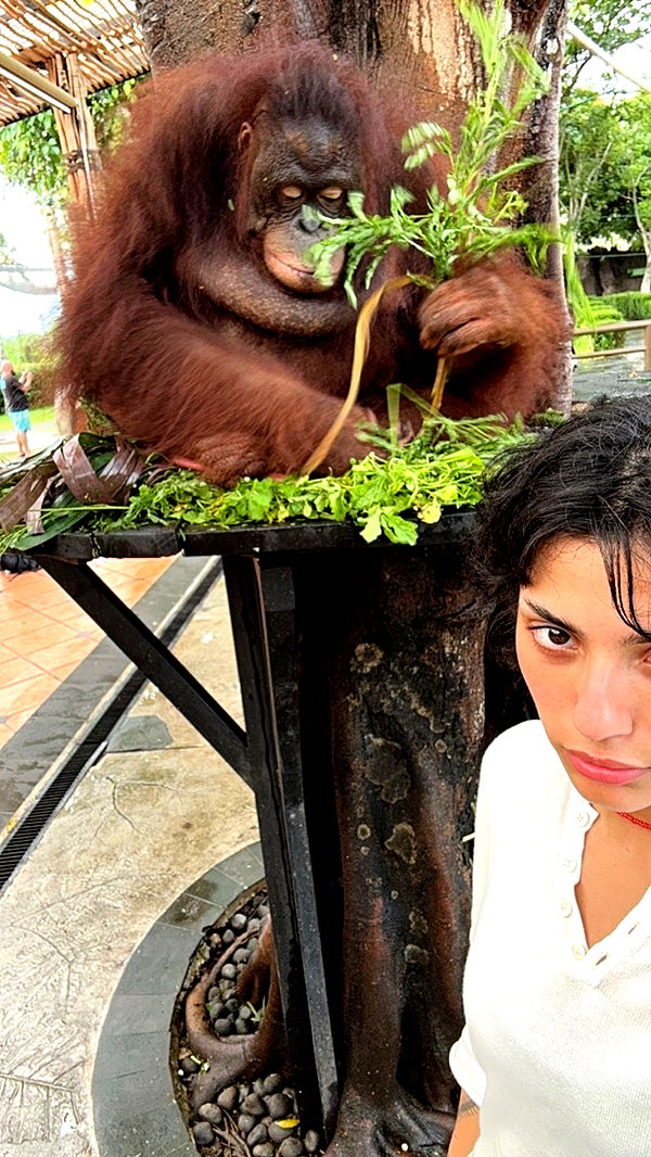 noordabash image ~ Altpins