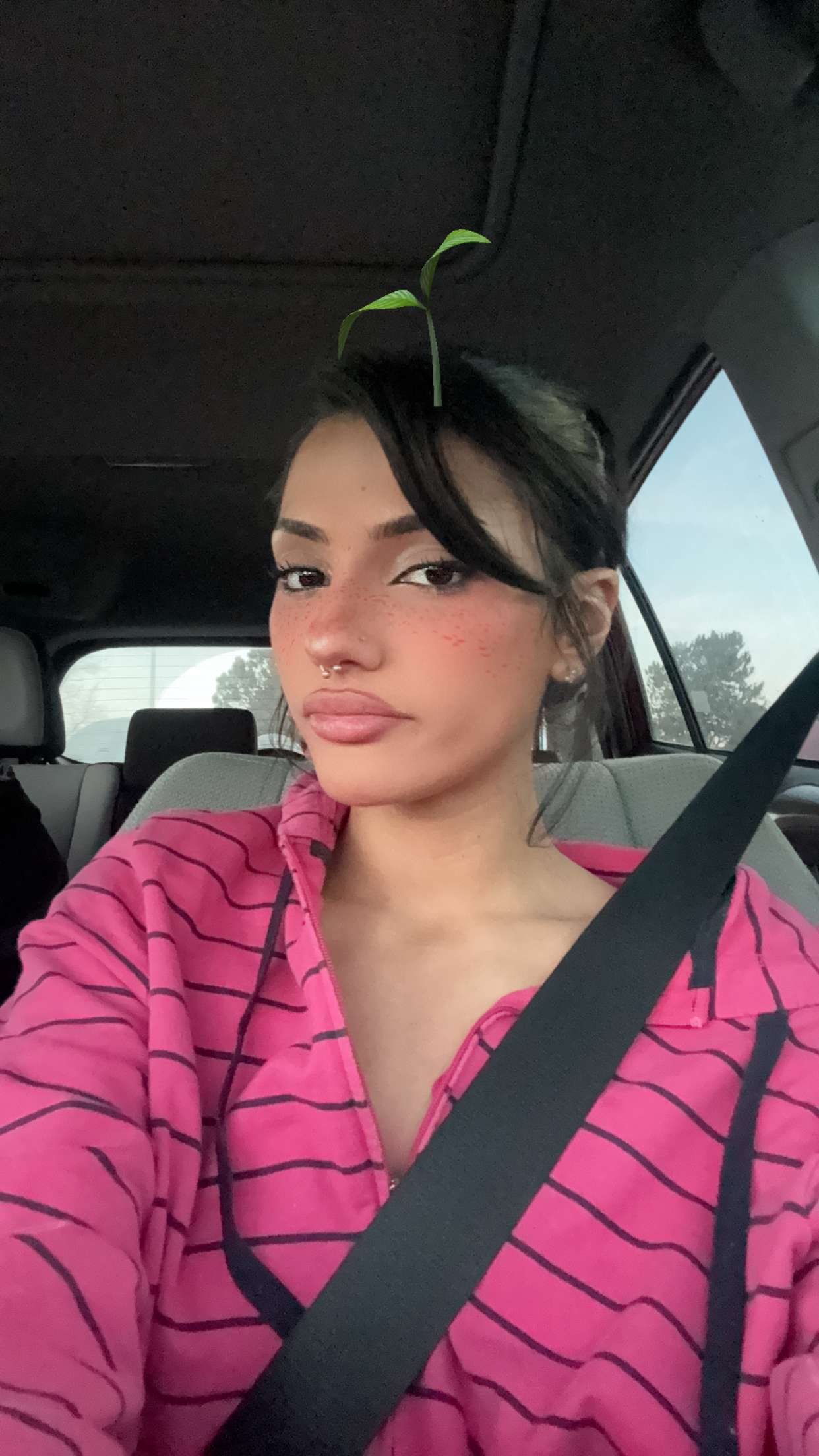 noordabash snapchat image archive image