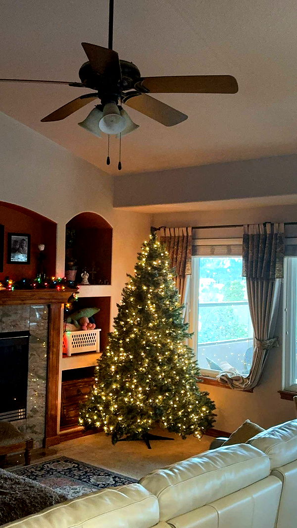 noordabash image ~ Altpins