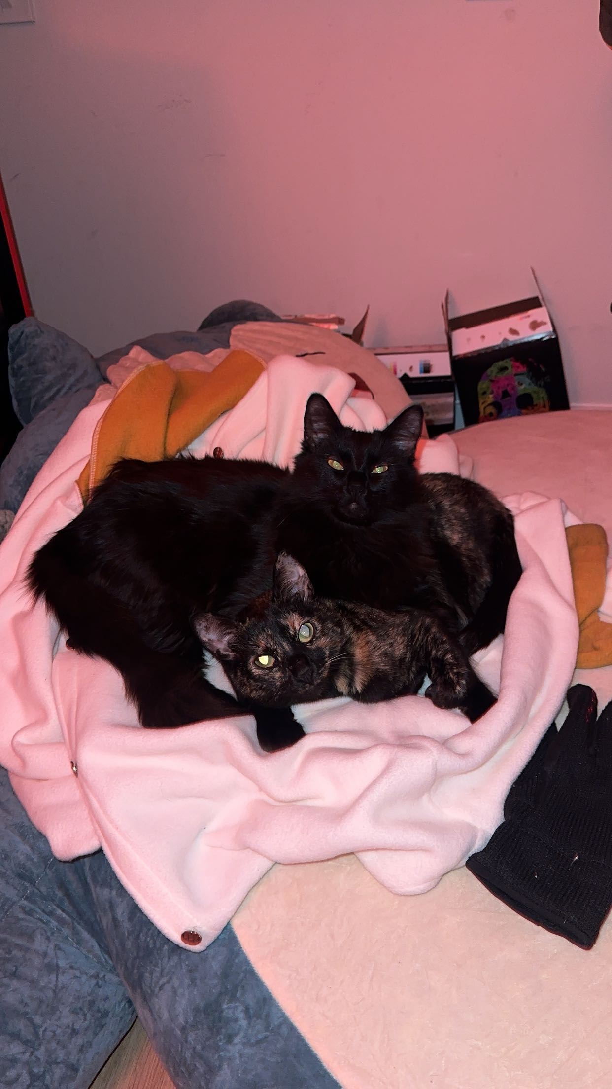 noordabash snapchat image archive image